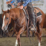 HORSE SALES